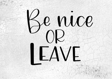 Be Nice Or Leave 