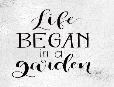 Life Began in a Garden