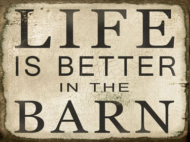 Life Is Better In The Barn