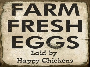 Farm Fresh Eggs Laid By Happy Chickens