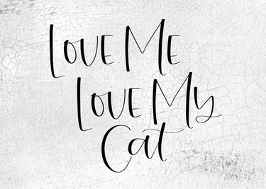 Love Me Love My Cat 