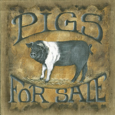 Pigs For Sale