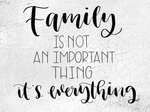 Family Is Not