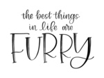 Best Things In Life Are Furry