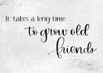 Takes a Long Time To Grow Old Friends 
