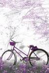 Ultra Violet Bicycle 