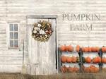 Pumpkin Farm 
