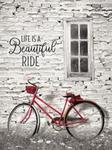 Life is a Beautiful Ride 