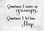 Sometimes I Wake Up Grumpy